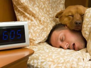 Da li bi spavanje sa Vašim psom na istom krevetu moglo biti korisno za Vas?