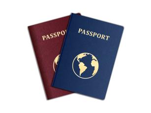 Šta zapravo znači boja pasoša?