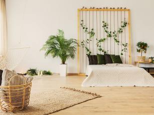 7 biljaka koje biste morali da imate u spavaćoj sobi