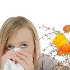 Statistika i činjenice o alergijama