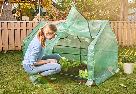 Grow Garden Greenhouse